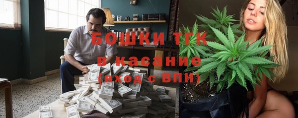 ГАЛЛЮЦИНОГЕННЫЕ ГРИБЫ Новозыбков